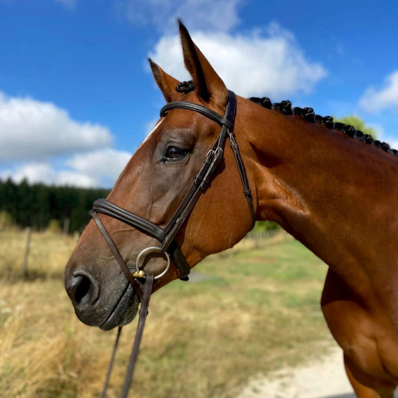 Eco Horse Eco Glow Shine Spray