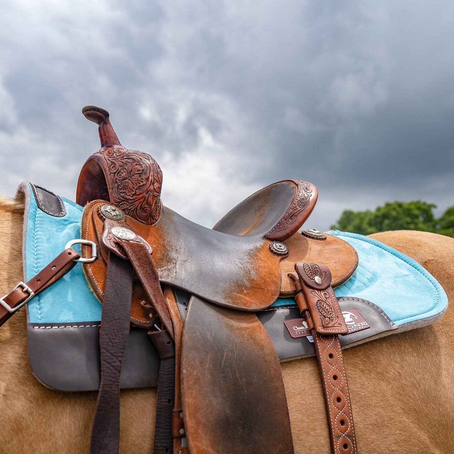 Classic Equine Zone Micro Suede Pad