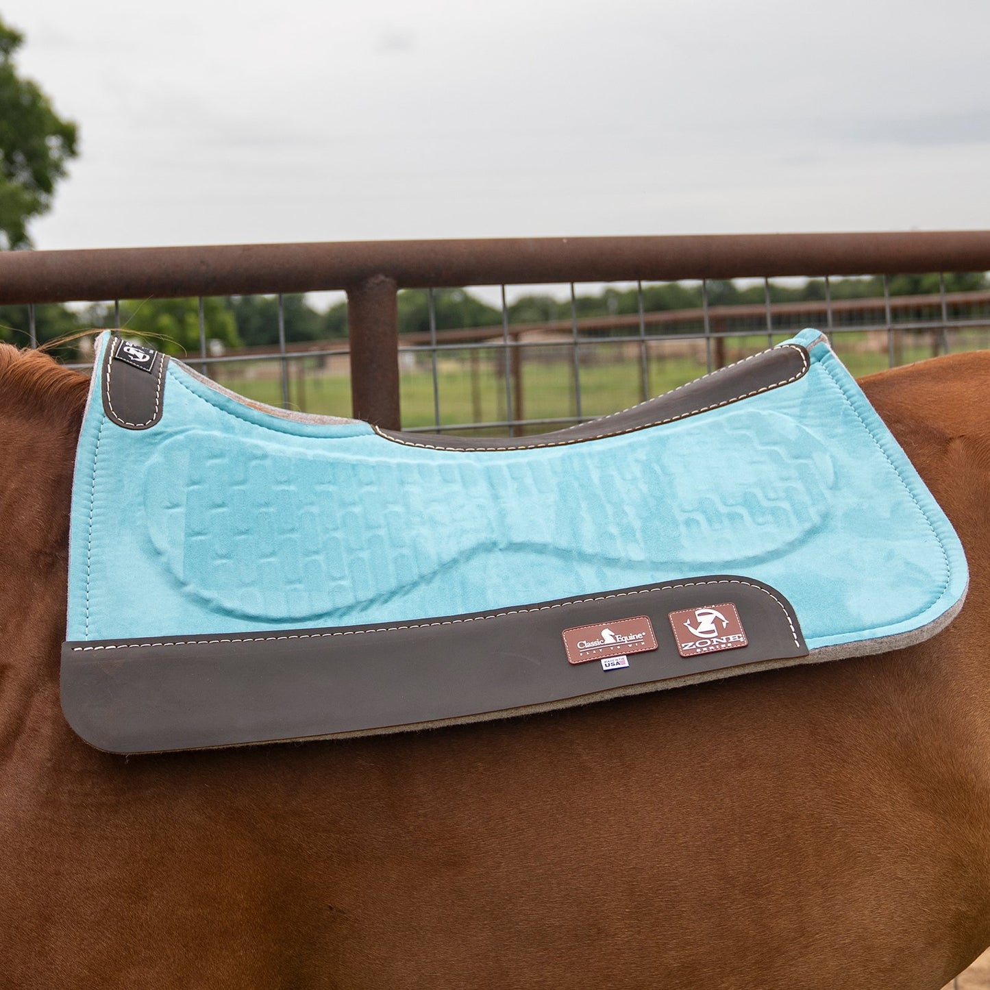 Classic Equine Zone Micro Suede Pad