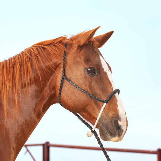 Mule Tape with Rope Nose Halter