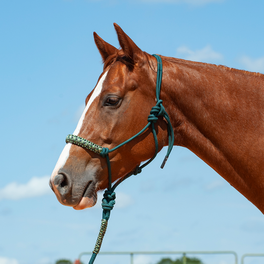 Braided Rope Halter and Leadrope