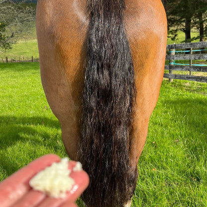 Eco Horse Leave In Conditioner