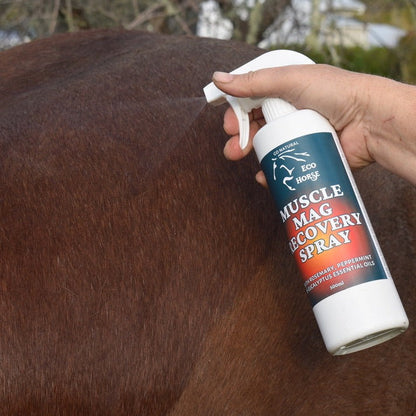 Eco Horse Muscle Mag Recovery Spray