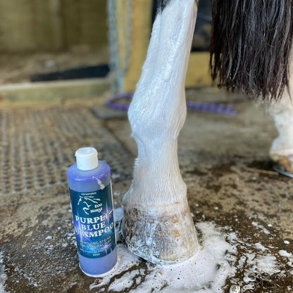 Eco Horse Purple Blue Shampoo