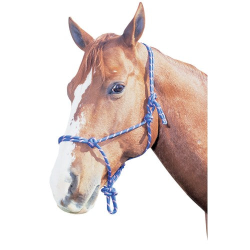 Horsemanship Rope Halter