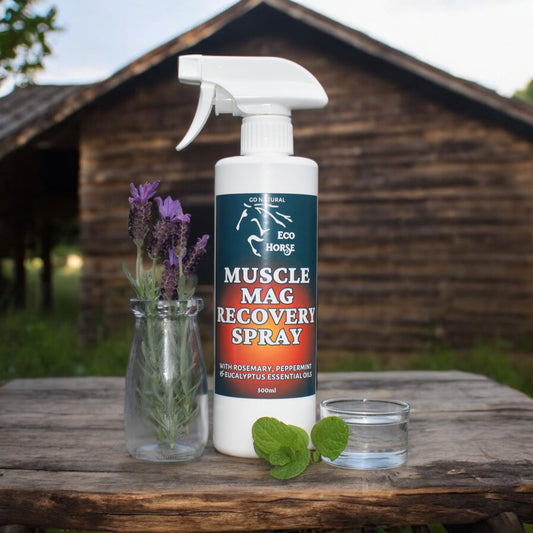 Eco Horse Muscle Mag Recovery Spray