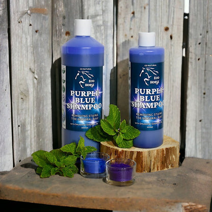 Eco Horse Purple Blue Shampoo