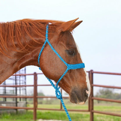 Mule Tape Halter & Lead - 8 colours