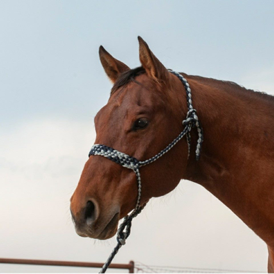 Mule Tape Halter & Lead - 8 colours