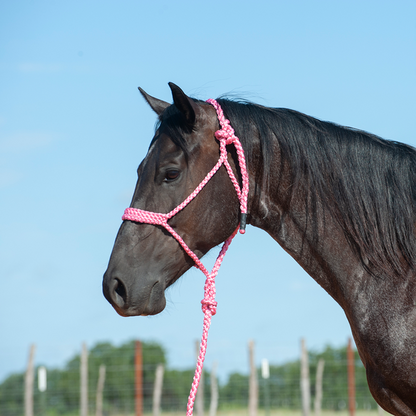 Mule Tape Halter & Lead - 8 colours