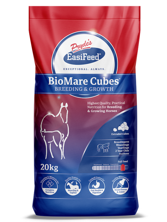 Prydes BioMare Cubes
