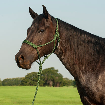 Mule Tape Halter & Lead - 8 colours