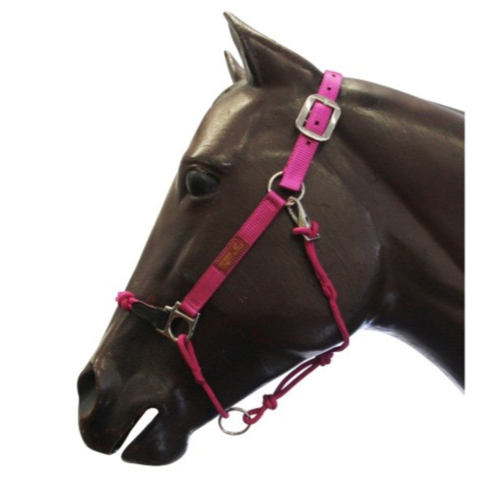 Hybrid Halter