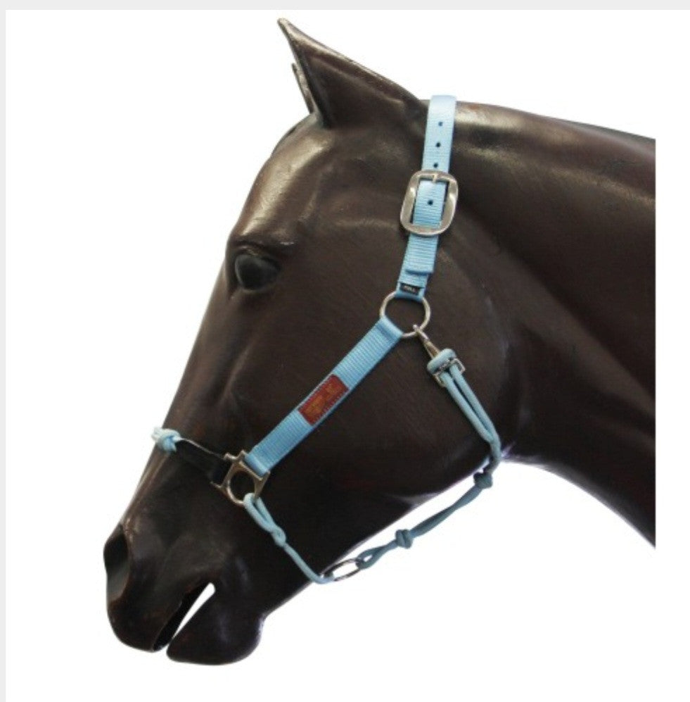 Hybrid Halter